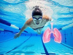 Peran Olahraga Renang dalam Meningkatkan Kesehatan Jantung dan Paru-paru