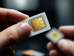 Pemalsuan SIM