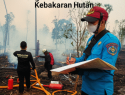 Peran KLHK dalam Pengendalian Kebakaran Hutan