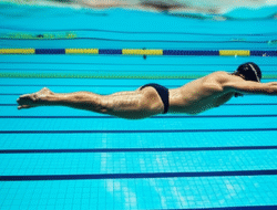 Teknik Dasar Renang Gaya Bebas dan Latihan yang Efektif