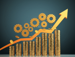 Dampak Kebijakan Permodalan UMKM terhadap Pertumbuhan Ekonomi